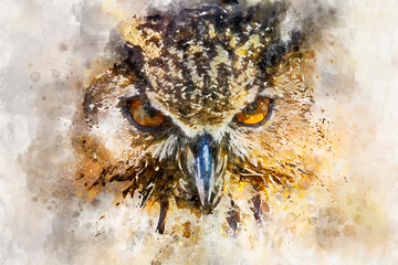 watercolor, beautiful owl with intense eyes and beautiful plumage