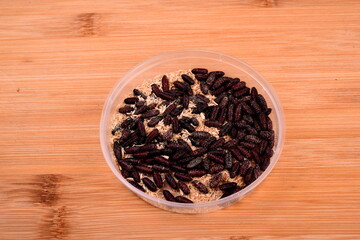 White fly larvae, maggots , close-up. Bait for anglers
