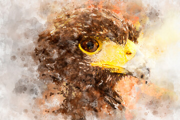 Watercolor, Black eagle head, european bird