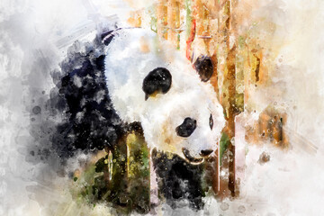 watercolor, Beautiful breeding panda bear playing in a tree © Outsiderzone