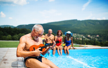 Group of cheerful seniors by swimming pool outdoors in backyard, party concept.