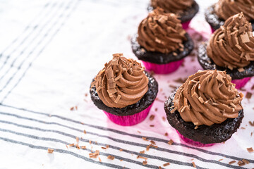 Chocolate ganache cupcake