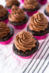 Chocolate ganache cupcake