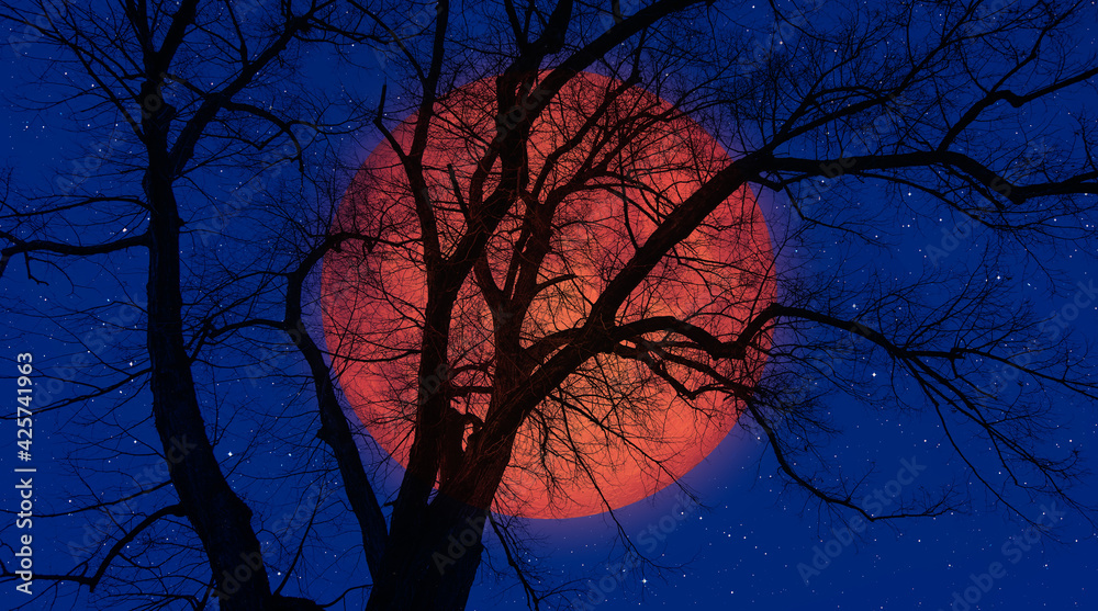 Poster silhouette of lone tree with full orange moon 