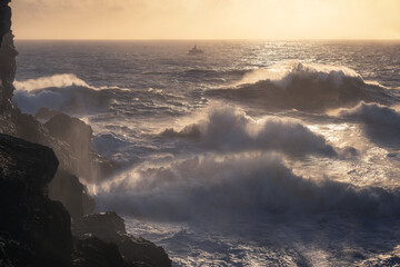 Soaked with sun. Praia do Norte, Nazare, Portugal