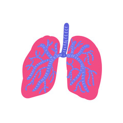 Vector illustration of the lungs and trachea. Light on a white background is isolated 