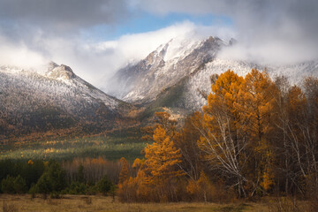 Wealth of autumn colour. Ulyun, the Barguzin Valley, Buryatia, Russia