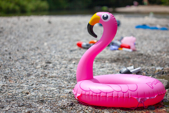 swan-shaped plastic pool float