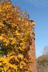 Нижегородская область, Россия, Ветошкино, усадьба Пашковых.