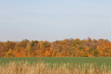 Нижегородская область, Россия, Ветошкино, усадьба Пашковых.