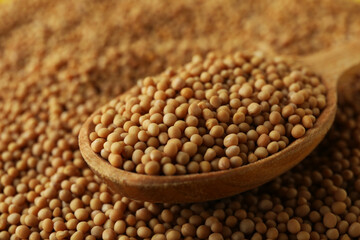 Wooden spoon and mustard seeds, close up