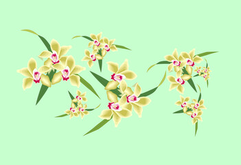 vector floral flowers print illustration, wallpaper and background