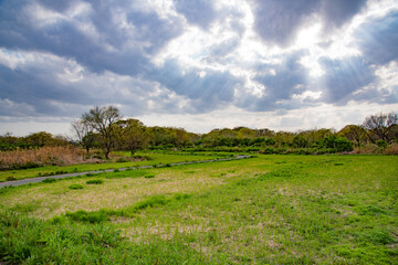 田舎の風景