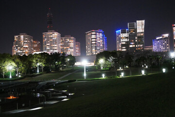 Fototapeta na wymiar 公園とビルの夜景