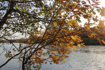 Fototapeta premium Nizhny Novgorod region, Russia, Krasnaya Glinka.