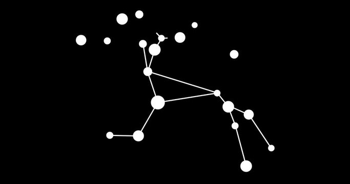 Centaurus constellation. Stars in the night sky. Constellation in line art style in black and white. Cluster of stars and galaxies. Horizontal composition, 4k video quality