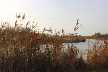 Nizhny Novgorod region, Russia, Krasnaya Glinka.