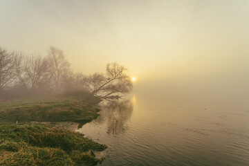 misty morning on the lake