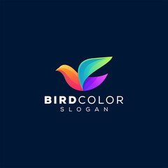 Obraz premium bird color gradient logo design