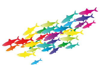 bunter Fisch Schwarm in leuchtenden Farben