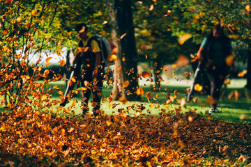 People operating a heavy duty leaf blower.