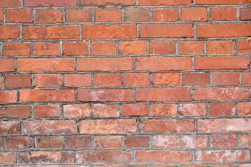 Fototapeta premium Brick wall texture background