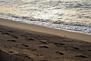 First hour of the day, beach with calm waters.