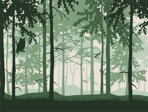 Forest background, silhouettes of trees, owl on branch. Magical misty landscape. Green illustration.