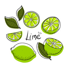 Lime set. Lime, slice, half, whole, and leaves. Colorful abstract citrus collection with black outline. Doodle, hand-drawn, flat, line art, sketch. Objects isolated on a white background. Vector.