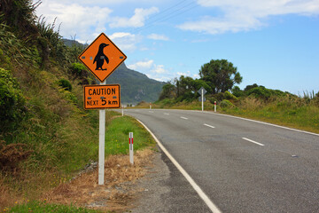 Sign Caution penguins on a road in New Zealand