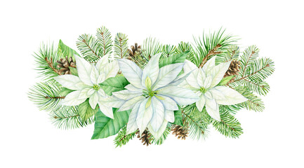 Watercolor christmas bouquet with white poinsettia flowers. Botanical illustration isolated on white background. Perfect for cards, invitations, template