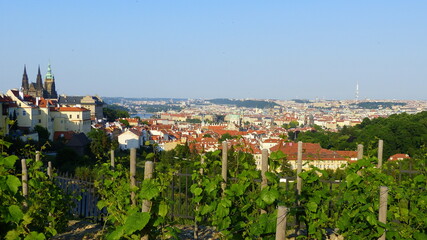 Fototapeta na wymiar Blick auf Prag mit Burg und Veitsdom, Tschechien