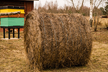 Close-up of hay roll in private garden. Nature at early spring. Haystack and beehive. Dry grass.