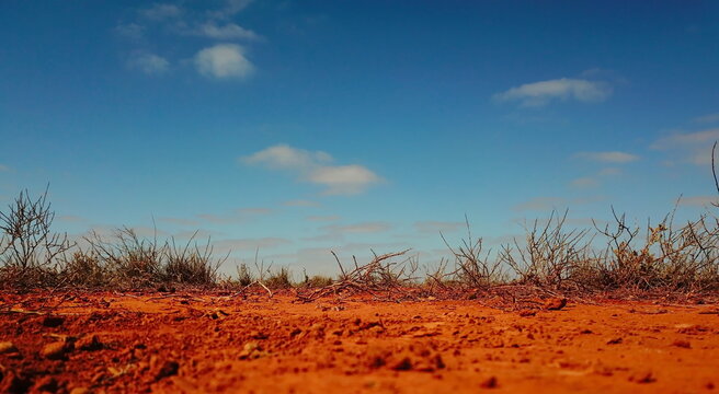 Flat desert plain with no trees