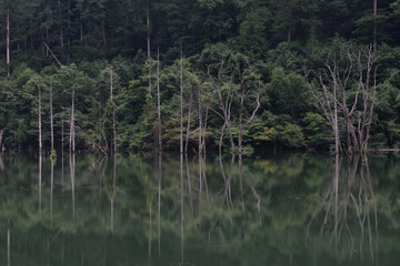 自然湖