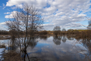 Spring flood, the river overflowed its banks. High water level in the river. Rural landscape in early spring. Clouds and trees are reflected in the water.