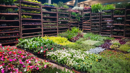 flowers in a greenhouse