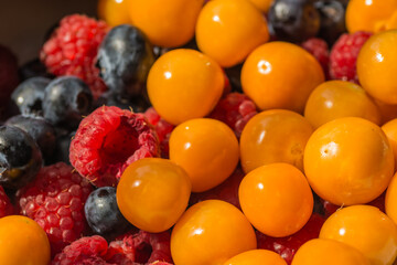 fresh physalis blueberries and raspberries