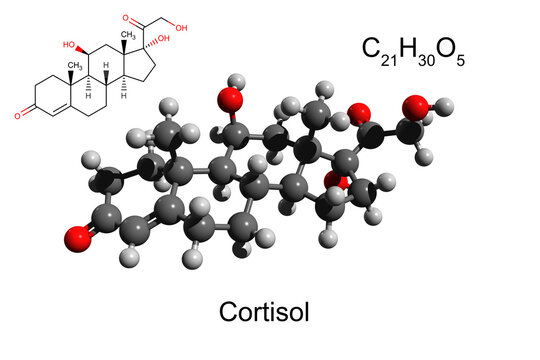 Chemical formula, skeletal formula and 3D ball-and-stick model of hormone cortisol, white background