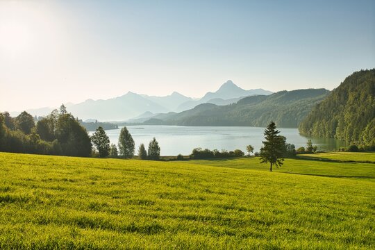 a large green field with a lake and mountains in the background