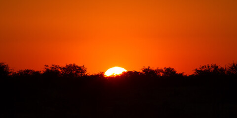 Fototapeta na wymiar African sunset or sunrise as background