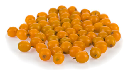 Sea buckthorn isolated on a white background close-up.