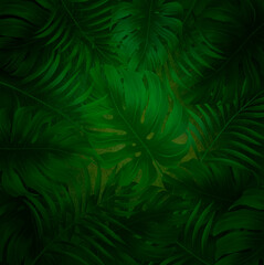 Monstera leaves plant on wall background. Poster and Banner manipulation layout. For advertising card or invitation.