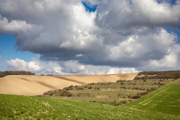 Spring landscape with green pastures, vineyards and cloudy sky