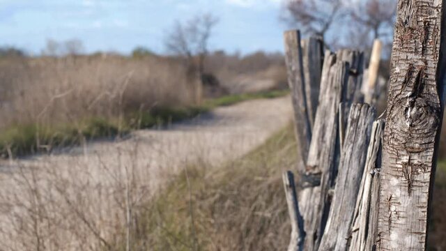 balade en camargue