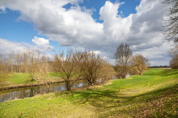 Fototapeta na wymiar Spring landscape with river, trees and cloudy sky