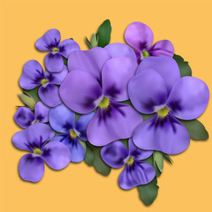 Naklejka na ściany i meble Violets flowers. Beautiful violet flowers for you