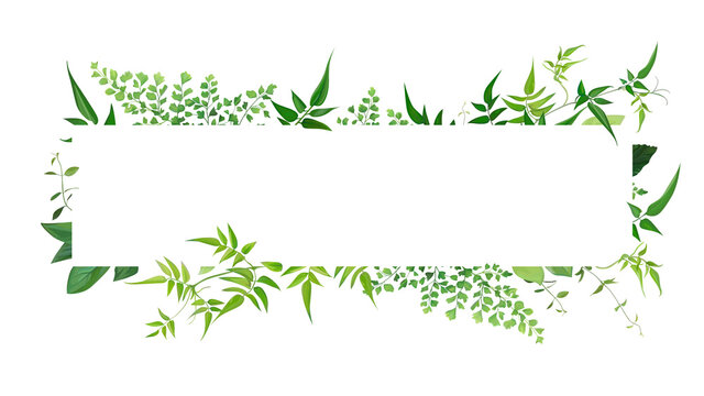 Fresh natural greenery leaves, branches, jasmine vine, forest fern, herb botanical border, frame, text space. Vector editable watercolor art illustration. Poster, banner, wedding invite, greeting card