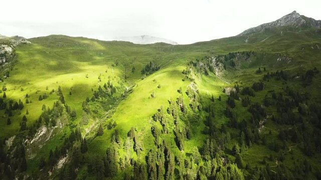 Drone, Areal, Drohne Gebirge, Almwiese Salzburg, &Ouml;sterreich