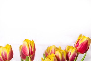 bouquet of yellow tulips